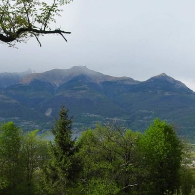 lavanda_panorama_03